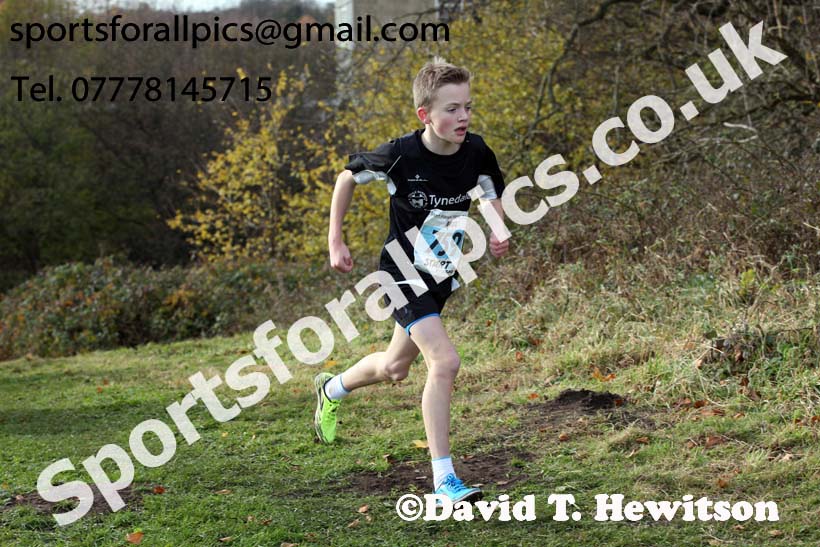 Boys under-13s 2017 Start Fitness North Eastern Harrier League, Aykley Heads, Durham. Photo:  David T. Hewitson/Sports for All Pics